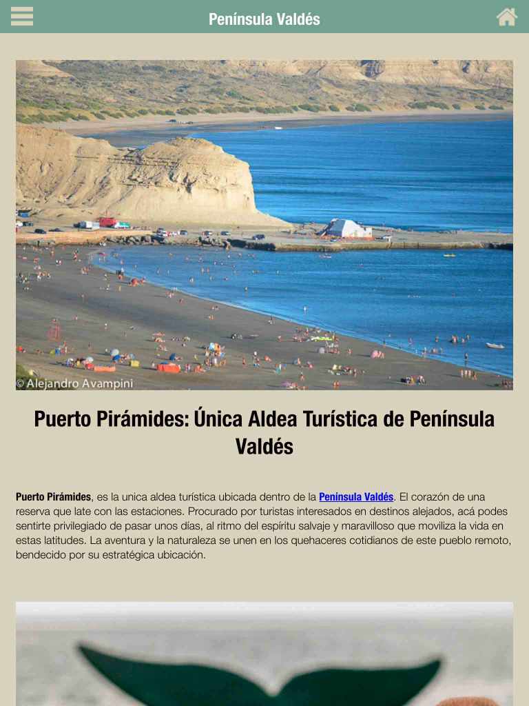 actividades-app-valdes