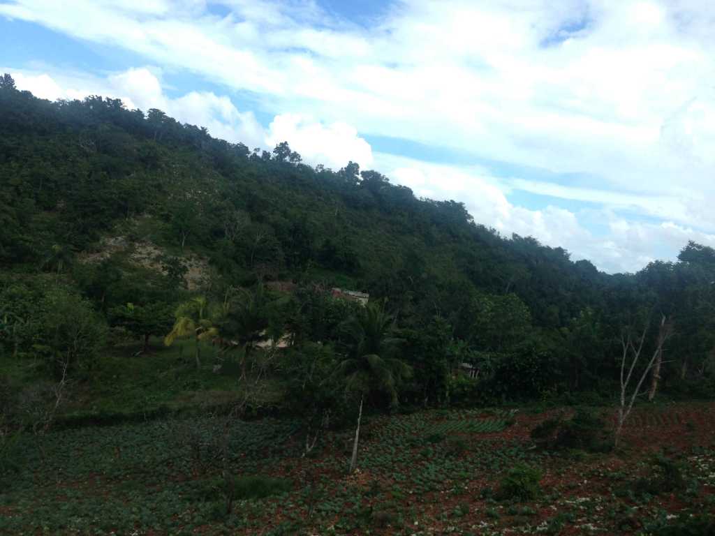 Seguimos subiendo a Nine Miles