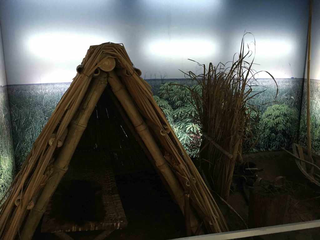 tipos-de-vivienda-de-primero-pobladores-de-ibera