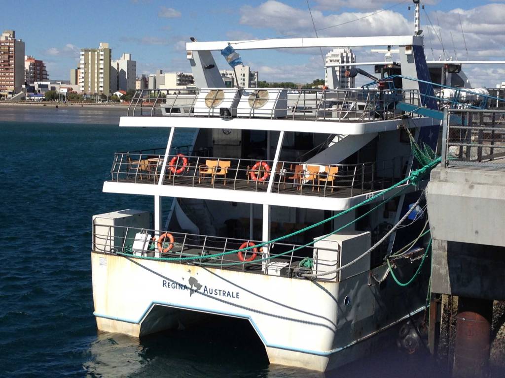 Popa del Regina Australe