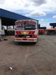 Colectivo o bus tipico