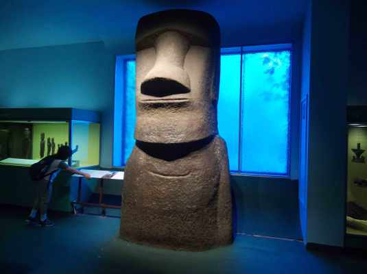 museo americano de historia natural